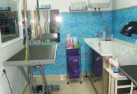 /album/peluqueria-canina-y-tienda-especializada/peluqueria-6-jpg/